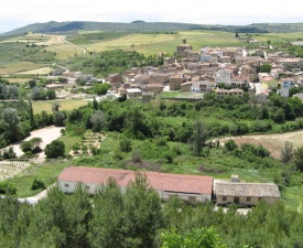 Torres del Rio Photo - Fitzgerald